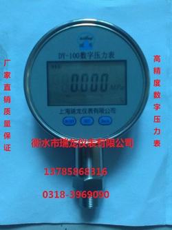 “常州數(shù)顯電子壓力表p1p2“/