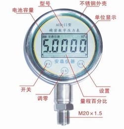 “蕪湖斯伯丁數(shù)顯壓力表“/