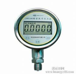 “廈門數(shù)顯壓力表如何保養(yǎng)“/