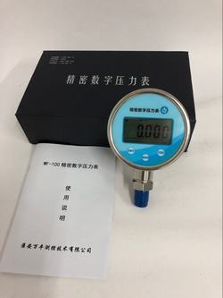 “泉州數(shù)顯壓力表模塊“/