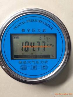 “綿陽松下DP100數顯壓力表“/