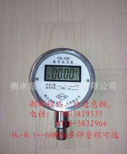 “合肥sw系列智能數(shù)字壓力表“/
